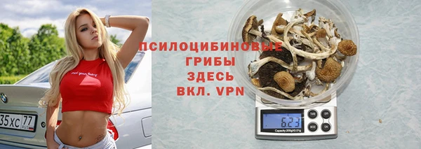 ешки Абаза