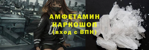 гашик Алексин