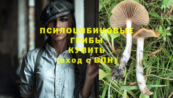 ешки Абдулино